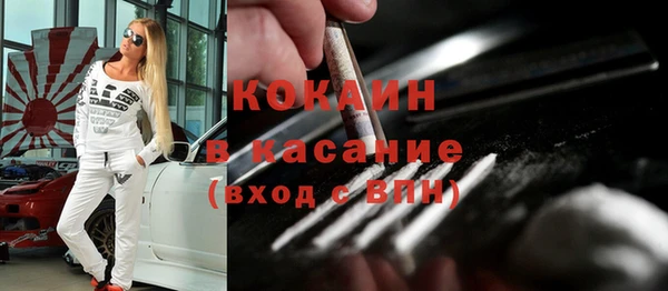 PSILOCYBIN Покачи