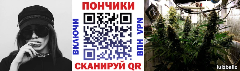 Канабис конопля  цены   Чекалин 